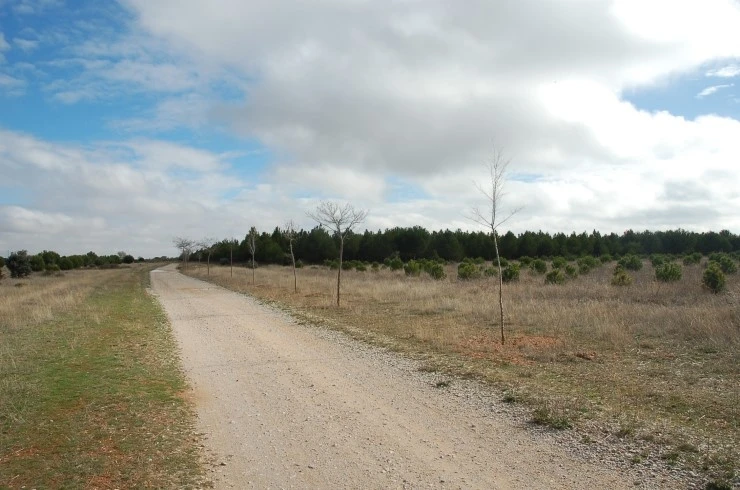 DSC_6261.JPG?type=w2