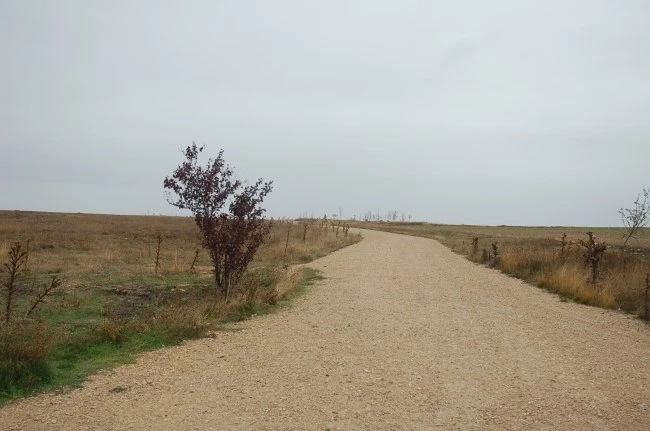 DSC_6252.JPG?type=w2