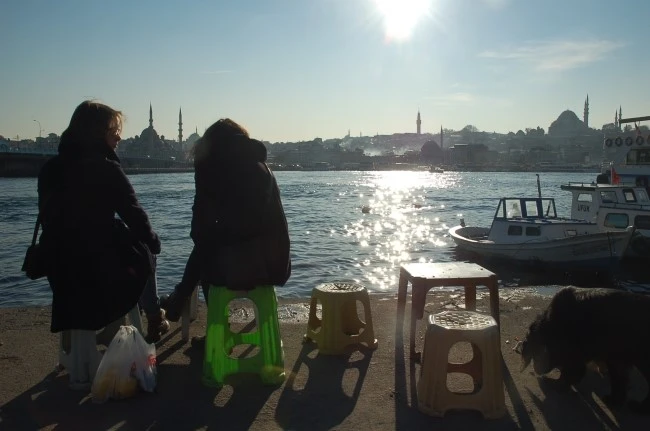 DSC_7395.JPG?type=w2