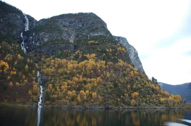 DSC_5964.JPG?type=w2