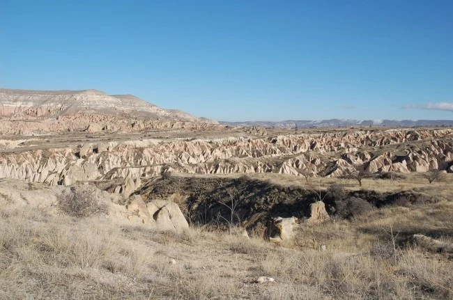 DSC_7104.JPG?type=w2