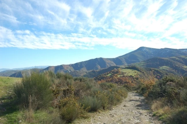 DSC_6286.JPG?type=w2