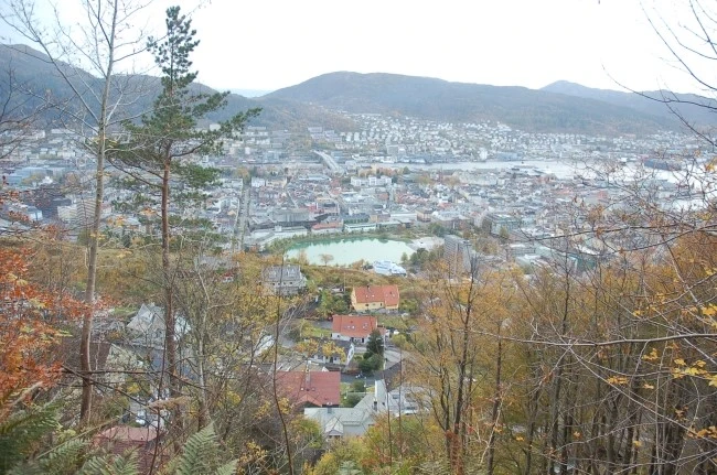 DSC_6030.JPG?type=w2