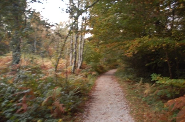 DSC_6148.JPG?type=w2