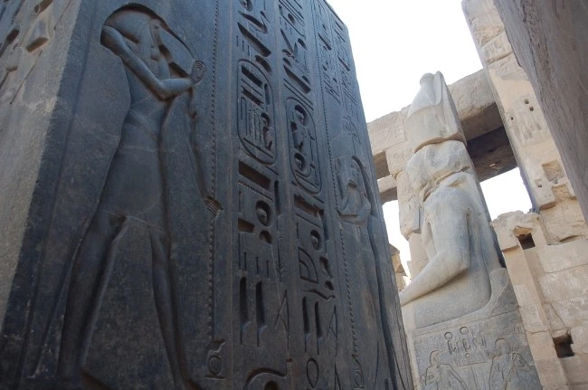 DSC_6765.JPG?type=w2