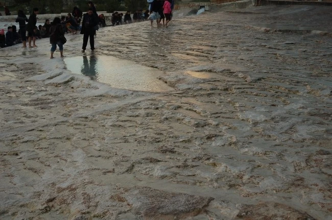 DSC_7307.JPG?type=w2