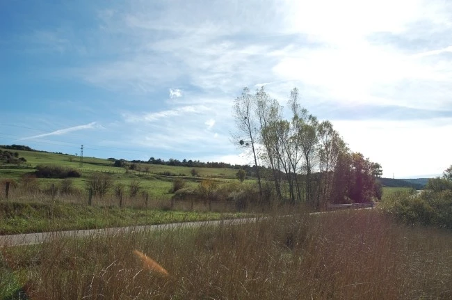 DSC_6176.JPG?type=w2