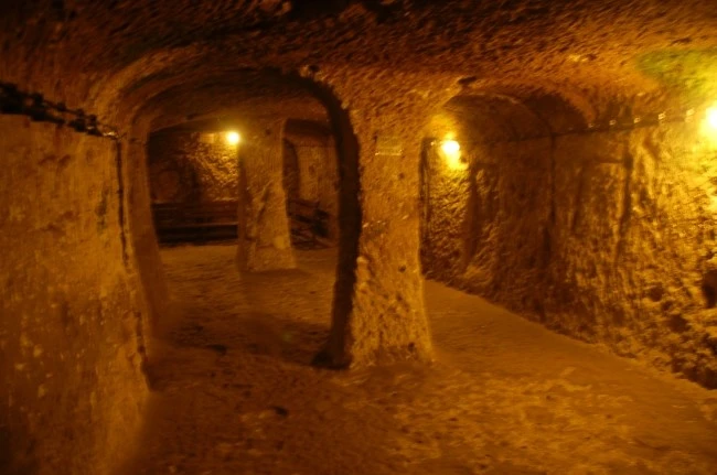 DSC_7174.JPG?type=w2