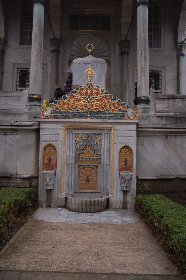 DSC_6989.JPG?type=w2