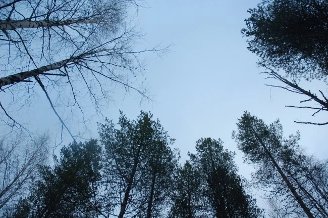 DSC_5840.JPG?type=w2