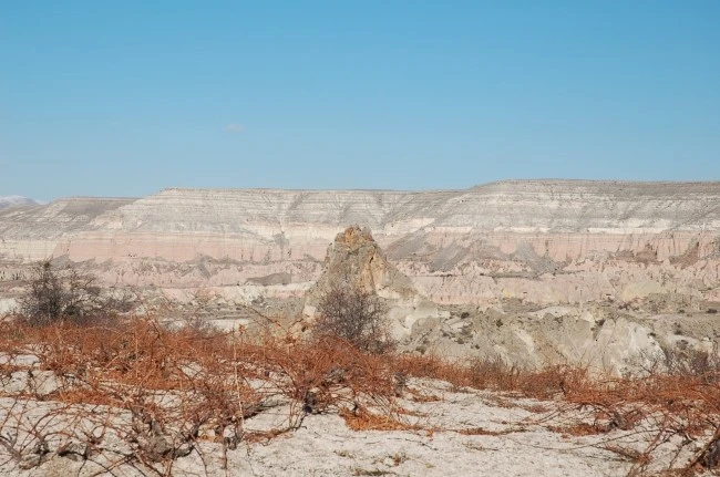 DSC_7096.JPG?type=w2