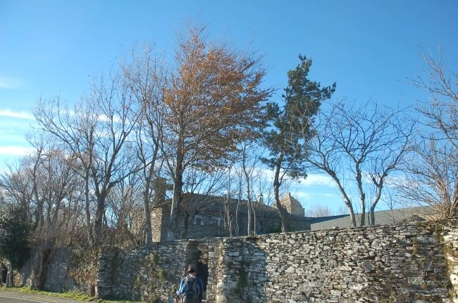 DSC_6290.JPG?type=w2