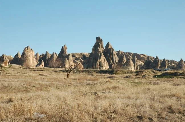 DSC_7141.JPG?type=w2