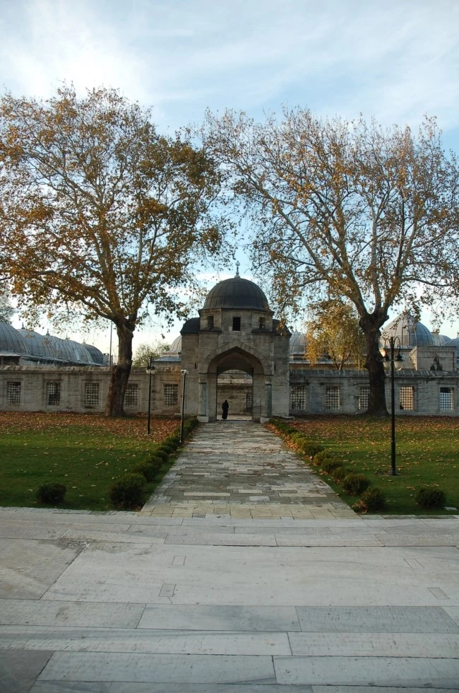 DSC_7040.JPG?type=w2