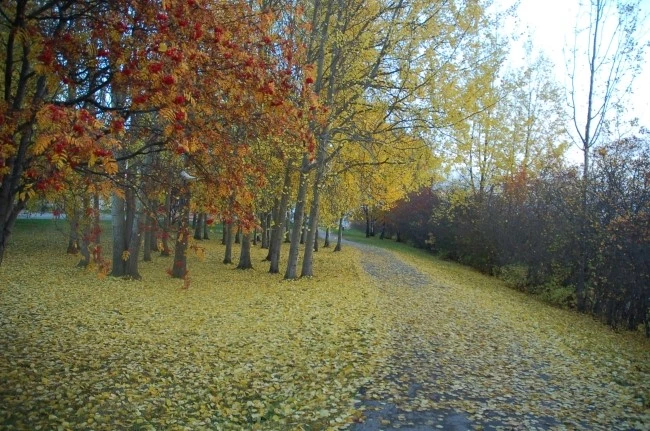 DSC_5859.JPG?type=w2