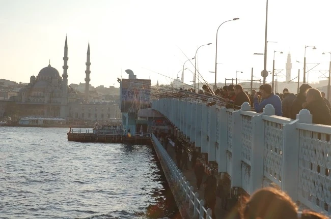 DSC_7398.JPG?type=w2