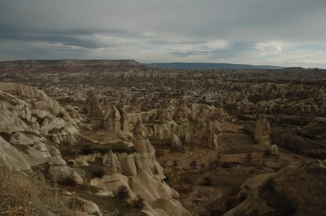 DSC_7157.JPG?type=w2