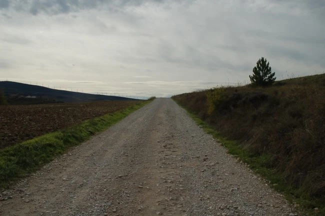 DSC_6201.JPG?type=w2