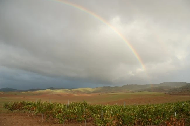 DSC_6223.JPG?type=w2