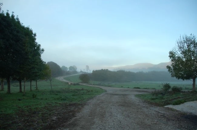 DSC_6154.JPG?type=w2