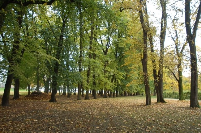 DSC_5883.JPG?type=w2