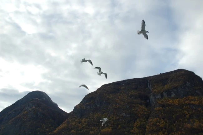 DSC_5948.JPG?type=w2