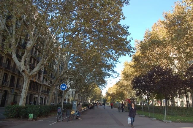 DSC_6418.JPG?type=w2