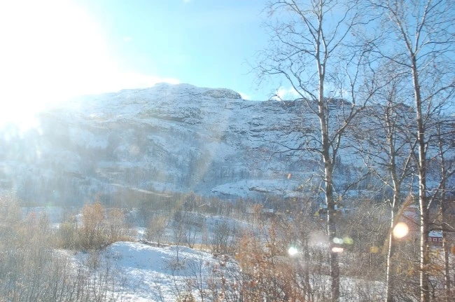 DSC_5923.JPG?type=w2