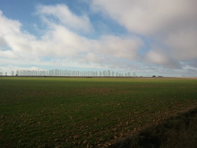 2012-11-05_10.24.47.jpg?type=w2