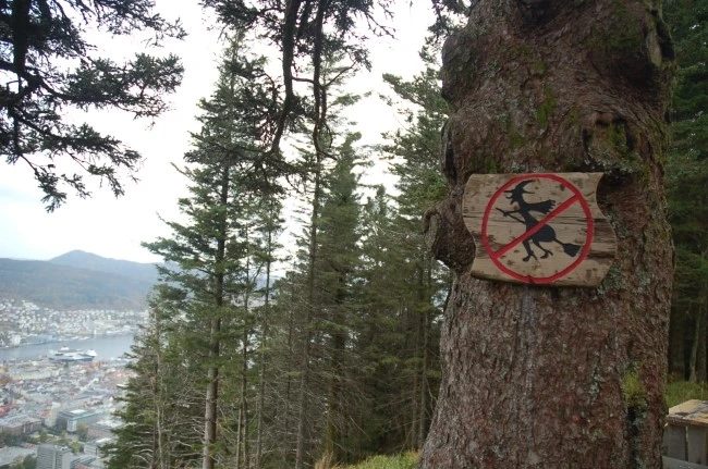 DSC_6042.JPG?type=w2