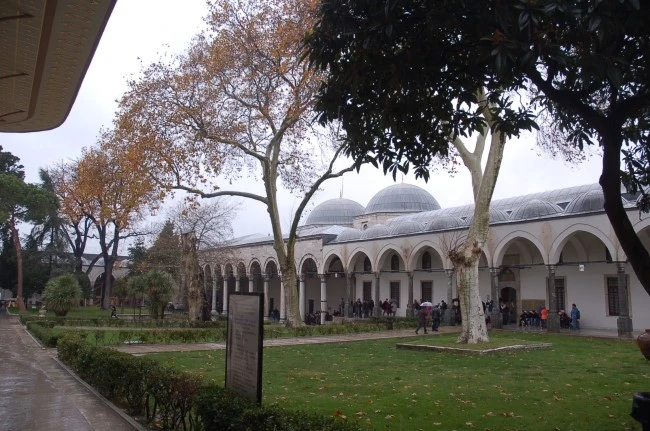 DSC_6982.JPG?type=w2