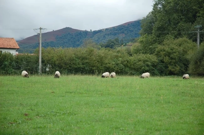 DSC_6094.JPG?type=w2