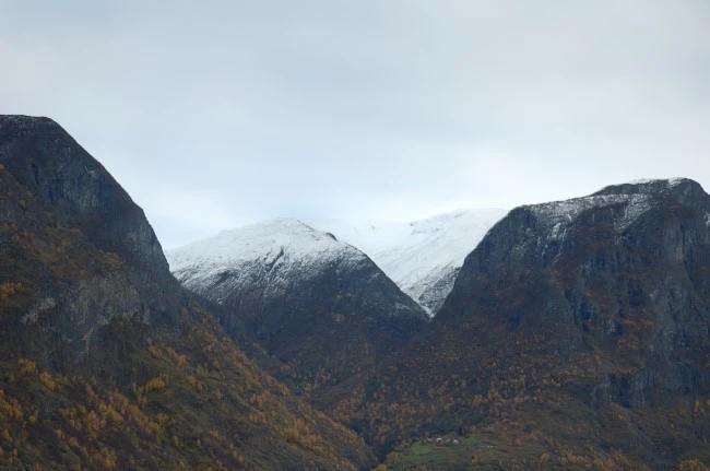 DSC_5955.JPG?type=w2