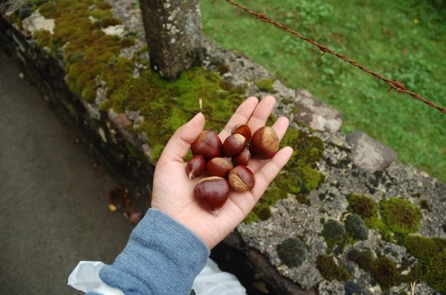 DSC_6093.JPG?type=w2