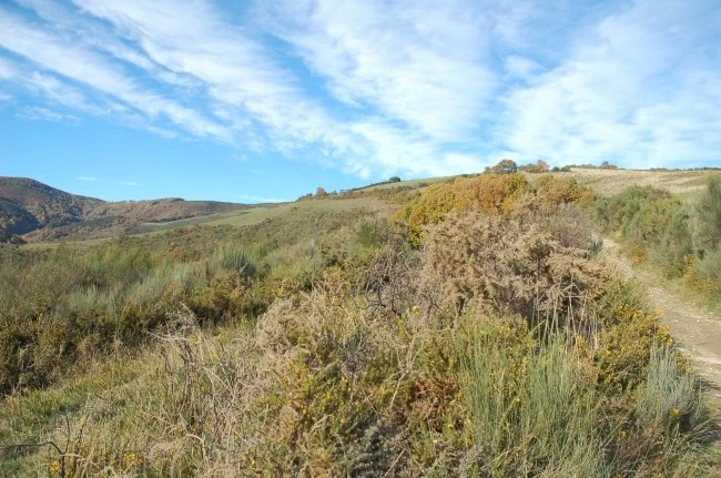 DSC_6287.JPG?type=w2