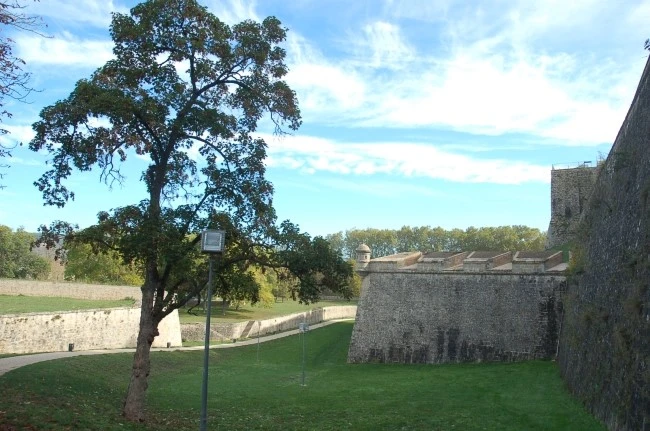 DSC_6188.JPG?type=w2