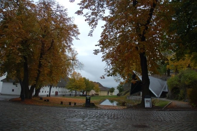 DSC_5897.JPG?type=w2