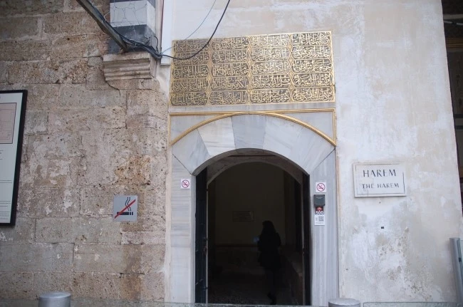 DSC_6992.JPG?type=w2