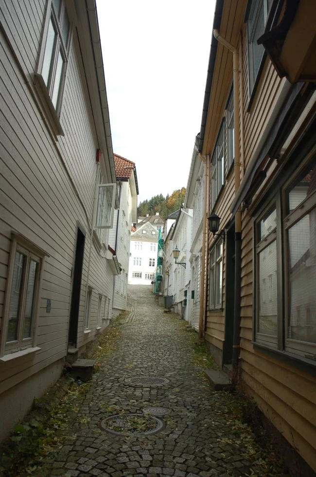 DSC_6006.JPG?type=w2