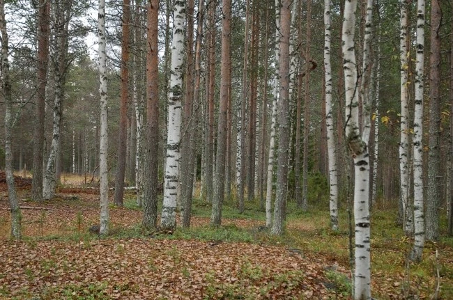 DSC_5824.JPG?type=w2