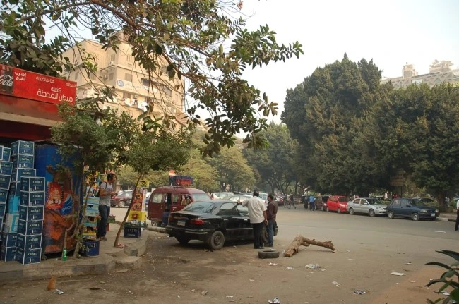 DSC_6565.JPG?type=w2