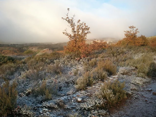 2012-11-11_08.44.59.jpg?type=w2