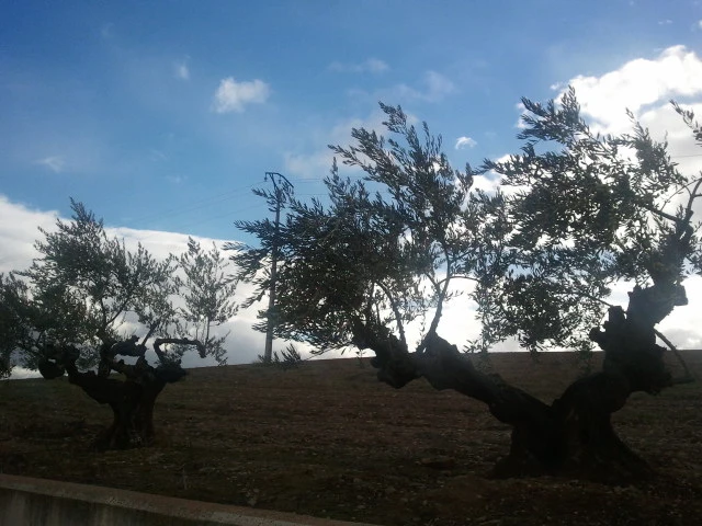 2012-10-27_17.03.39.jpg?type=w2