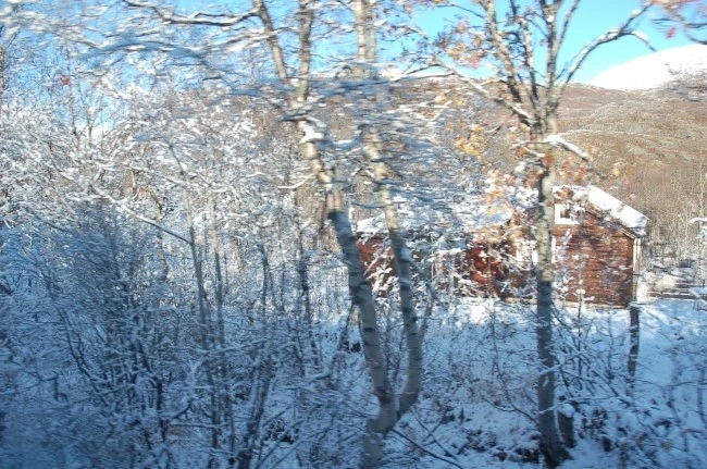 DSC_5922.JPG?type=w2