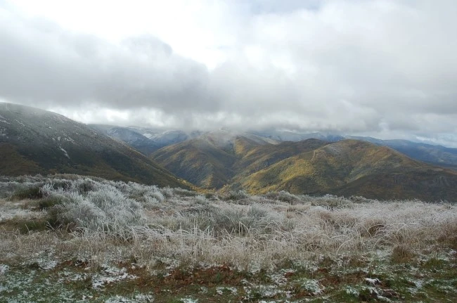 DSC_6278.JPG?type=w2