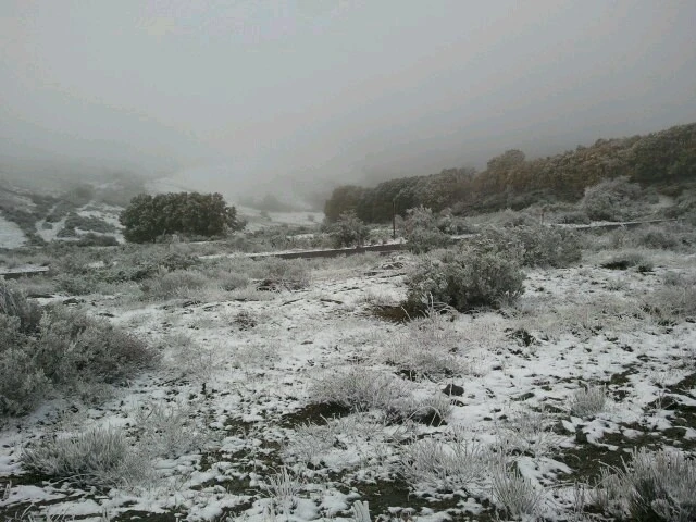 -618474820.jpg?type=w2