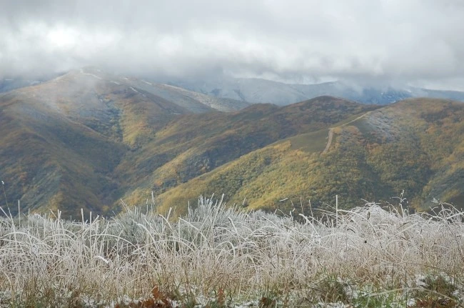 DSC_6279.JPG?type=w2