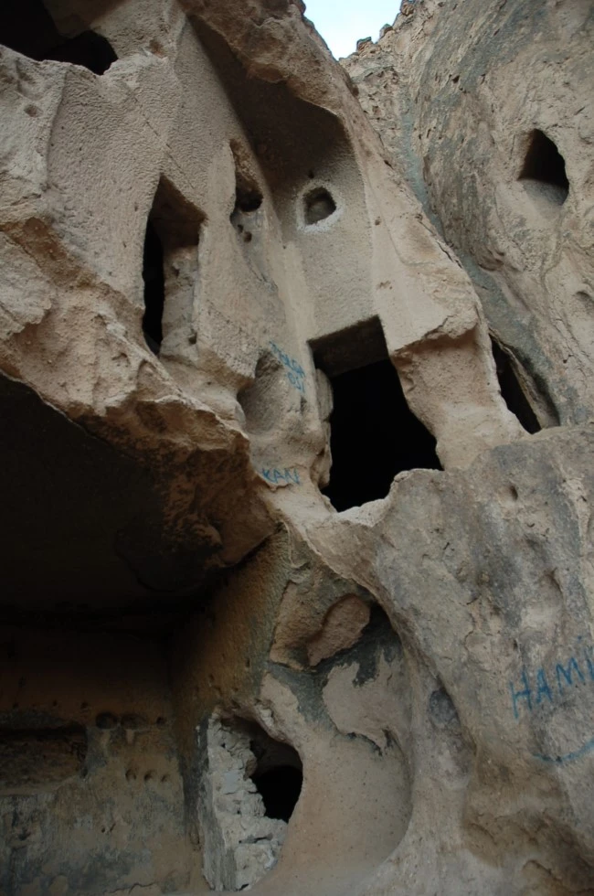 DSC_7212.JPG?type=w2