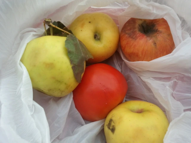 2012-11-08_14.02.12.jpg?type=w2