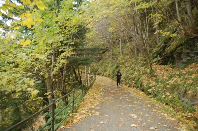 DSC_6045.JPG?type=w2